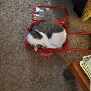 Meet your Posher, Nichole